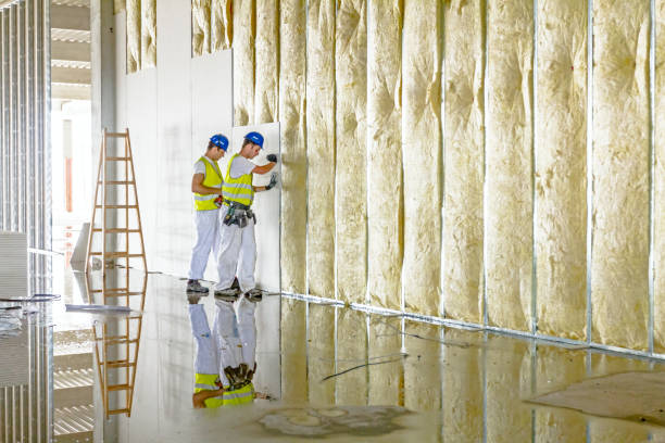 Best Commercial Insulation in Caryville, TN